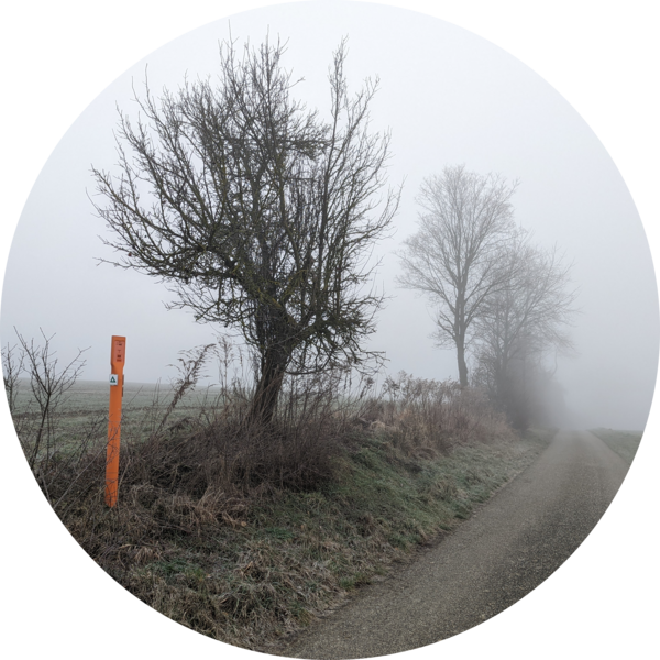 Go to the profile of Daniel Zimmermann