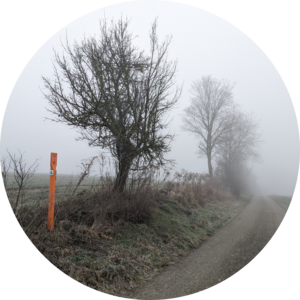 Go to the profile of Daniel Zimmermann