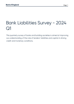 Bank Liabilities Survey - 2024 Q1