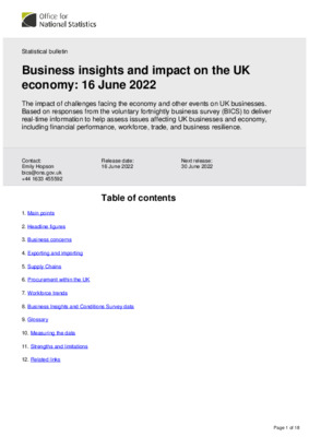 Business insights and impact on the UK economy