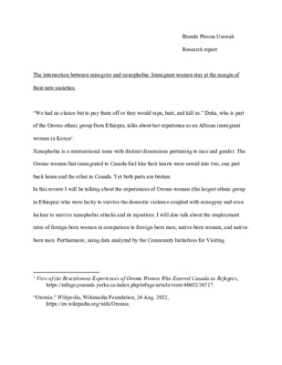 Research Report Summer 2022 (1)