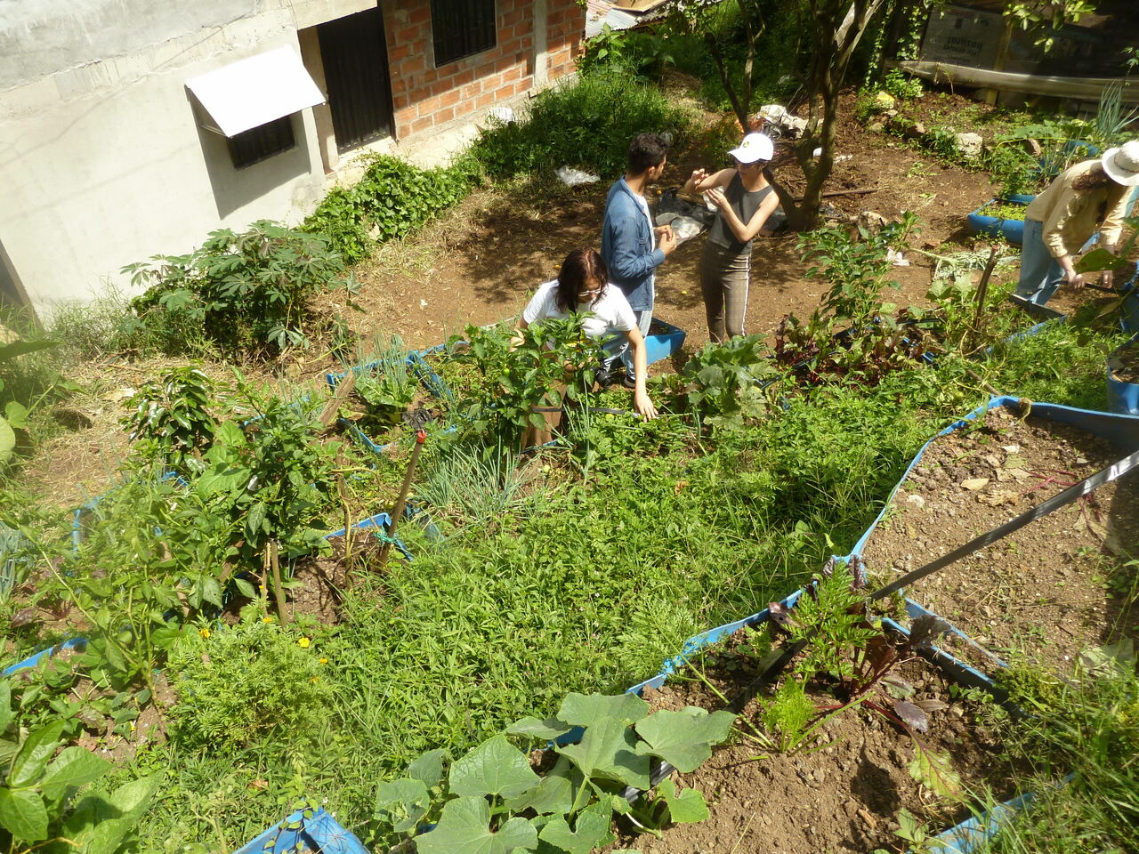 ‘Week One in Colombia’, or ‘Am I Hyperindependent?’