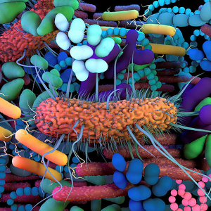 Meet the SDG3 Researcher: Dr  Souhaila Al Khodor