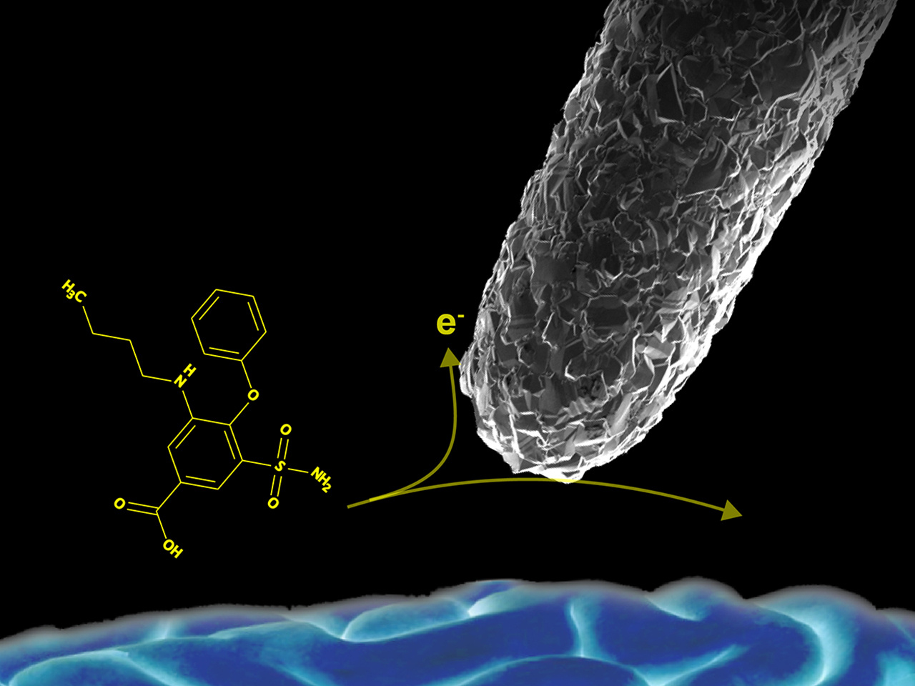 The chance meeting between diamond and drugs: exploring pharmacology with glass