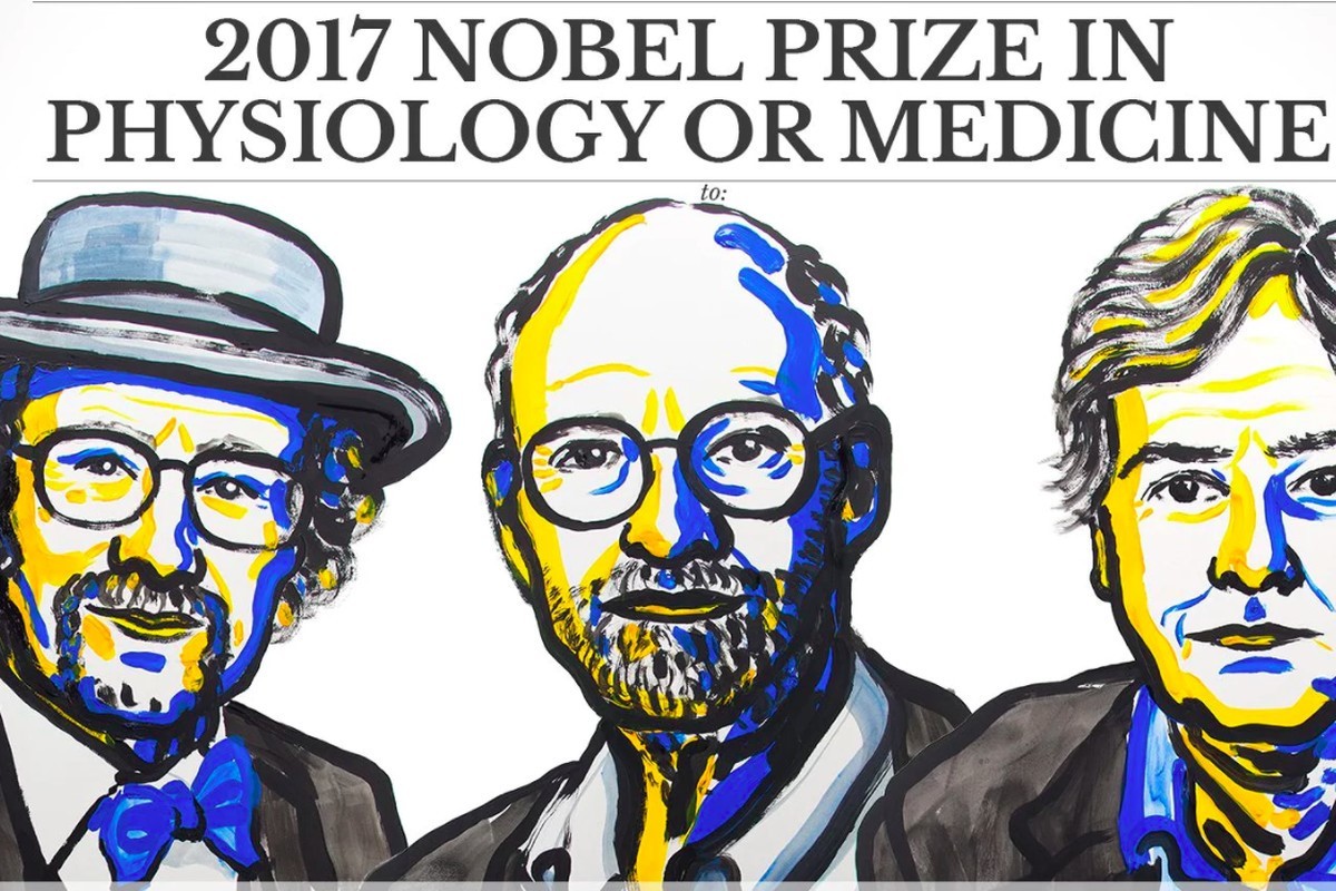 Celebrating the 2017 Nobel Prize in Physiology or Medicine