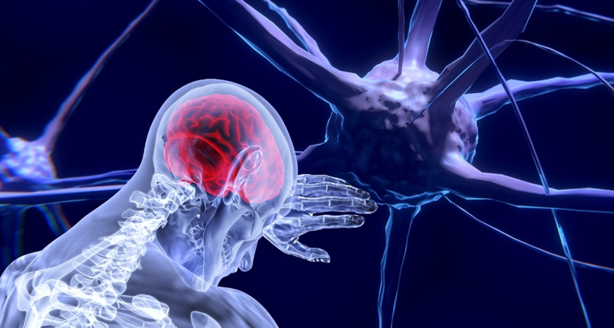 Hermona Soreq: “I guess that I am always attracted to far horizons…”