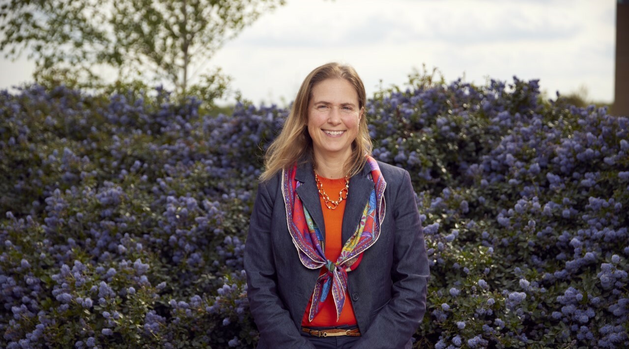 Be bold. Be brilliant. Be kind.