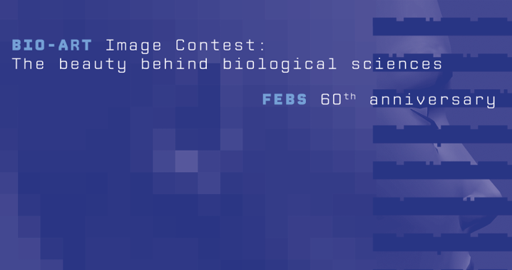 FEBS 60th Anniversary Bio-Art Image Contest: “The beauty behind biological sciences”