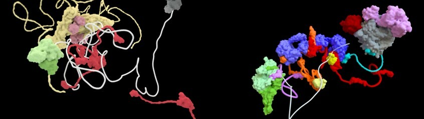 Elena Conti: “We need not only to convey the excitement of making discoveries, but also to make the environment and career path for young scientists more attractive.”