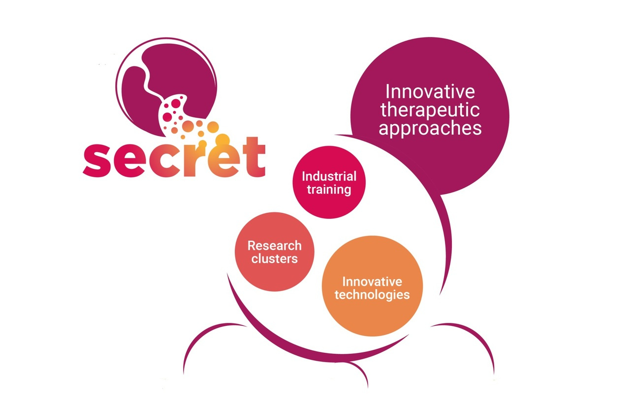 PhD positions to explore the therapeutic potential of perinatal cell SECRETomes