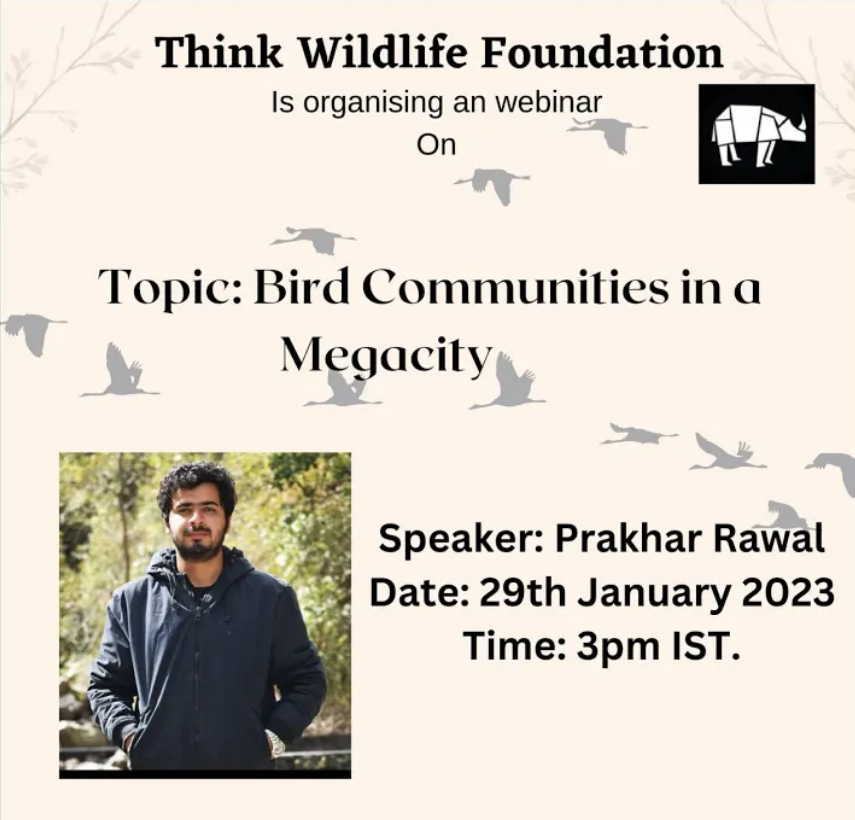 Webinar 7 - Bird Communities in a Megacity