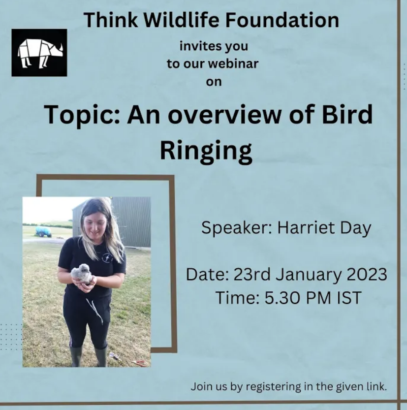 Webinar  6 - Bird Ringing with Harriet Day