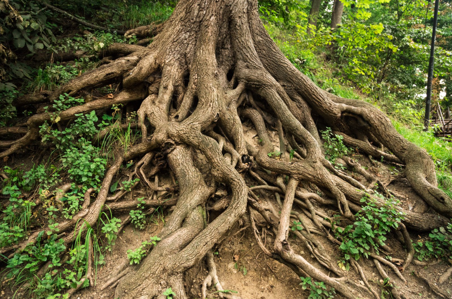 En route to a stronger editorial community