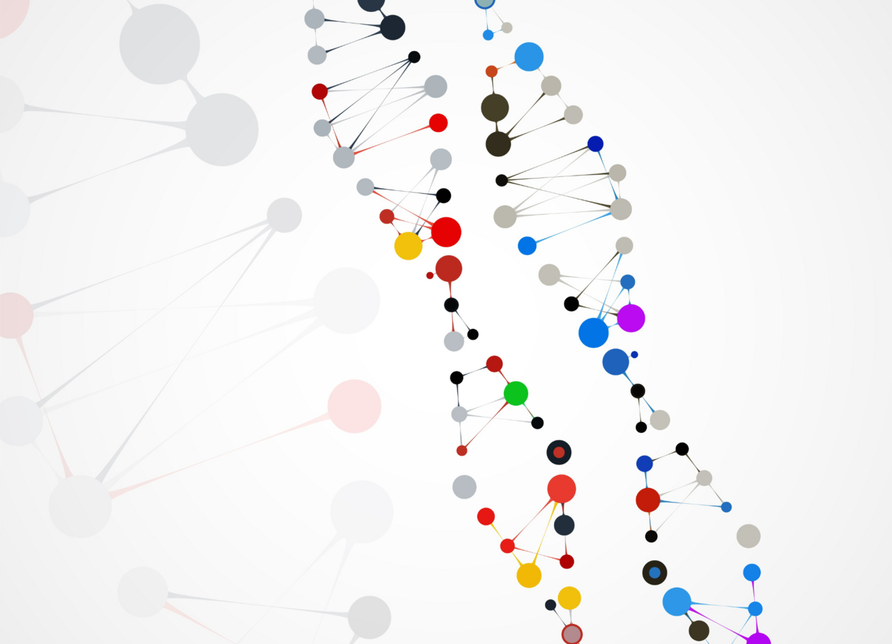 In the Limelight: Structural Bioinformatics
