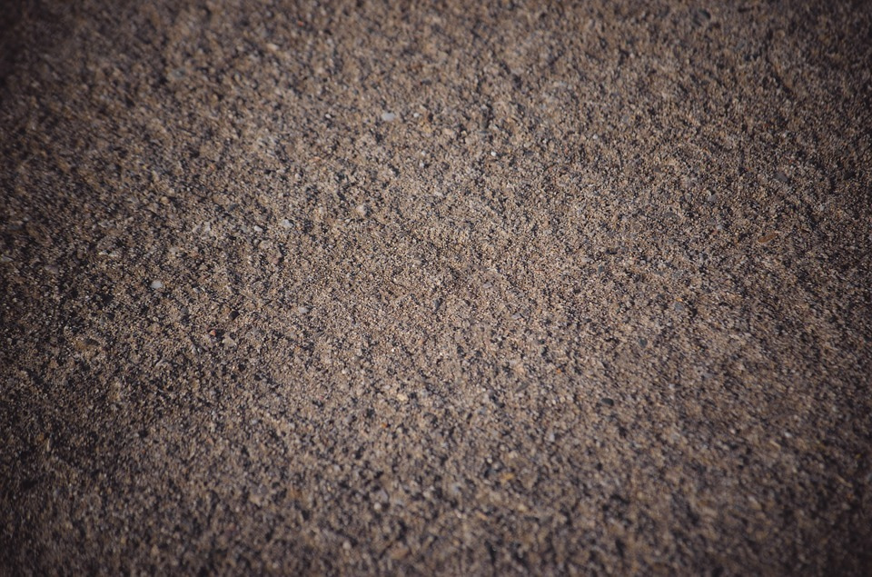 What lives in our dirt? A handful of bacterial species dominate soils across the globe.   