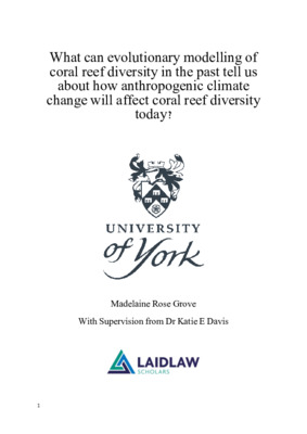 My research essay: evolutionary modelling of coral reef diversity