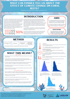 What can fossils tell us about the effect of climate change on coral reefs?