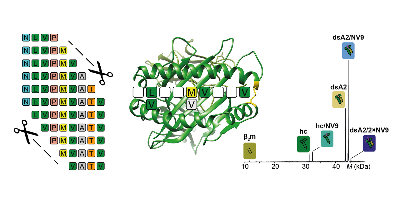 From mystery molecule to new method