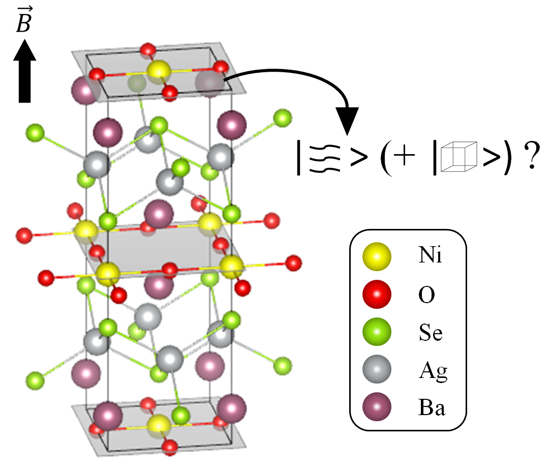 Bose-Einstein condensation in a spin system