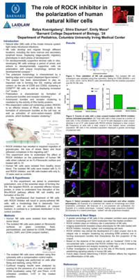 Batya Koenigsberg Laidlaw Poster (Summer 2022)