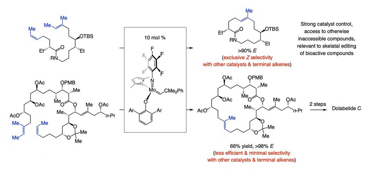 You can’t always get what you want… but you can now get the trisubstituted macrocyclic alkene that you need