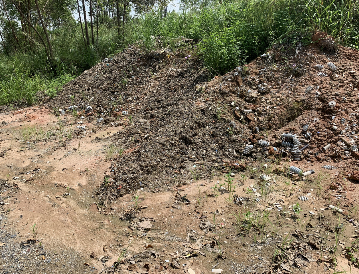 Diversity of organohalide respiring bacteria and reductive dehalogenases that detoxify polybrominated diphenyl ethers in E-waste recycling sites