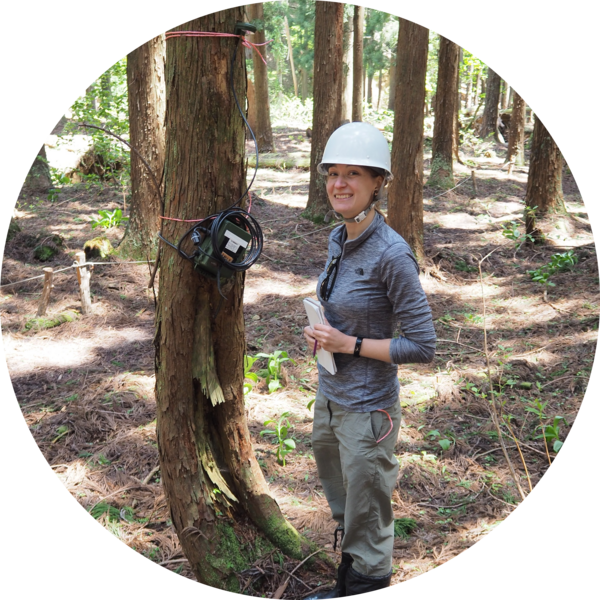 Go to the profile of Fay Taylor