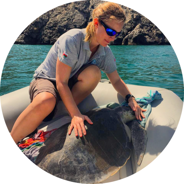 Go to the profile of Elayne Looker