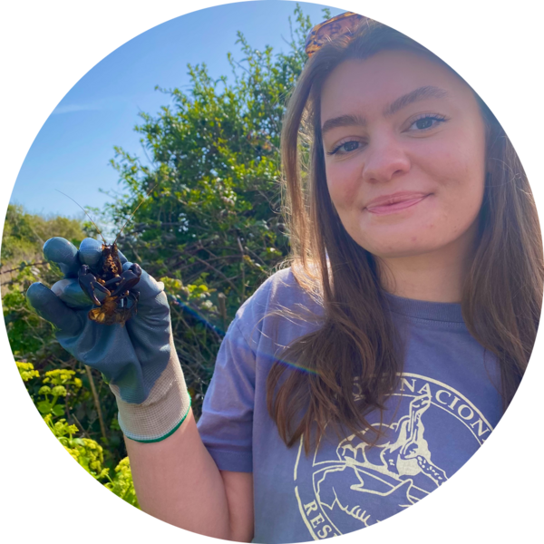 Go to the profile of Emily Wagdin