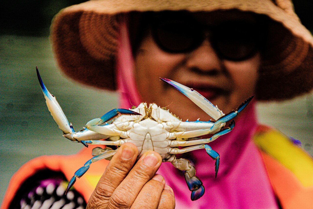 Looking for UK Collaborator for an ISPF Grant.