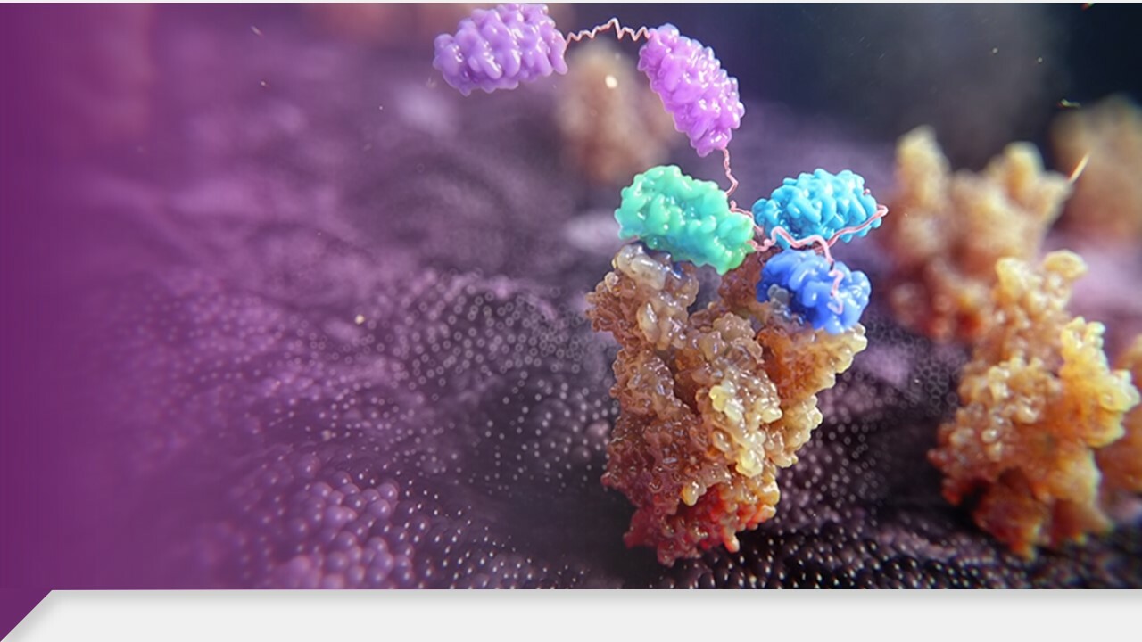 The DARPin platform behind ensovibep