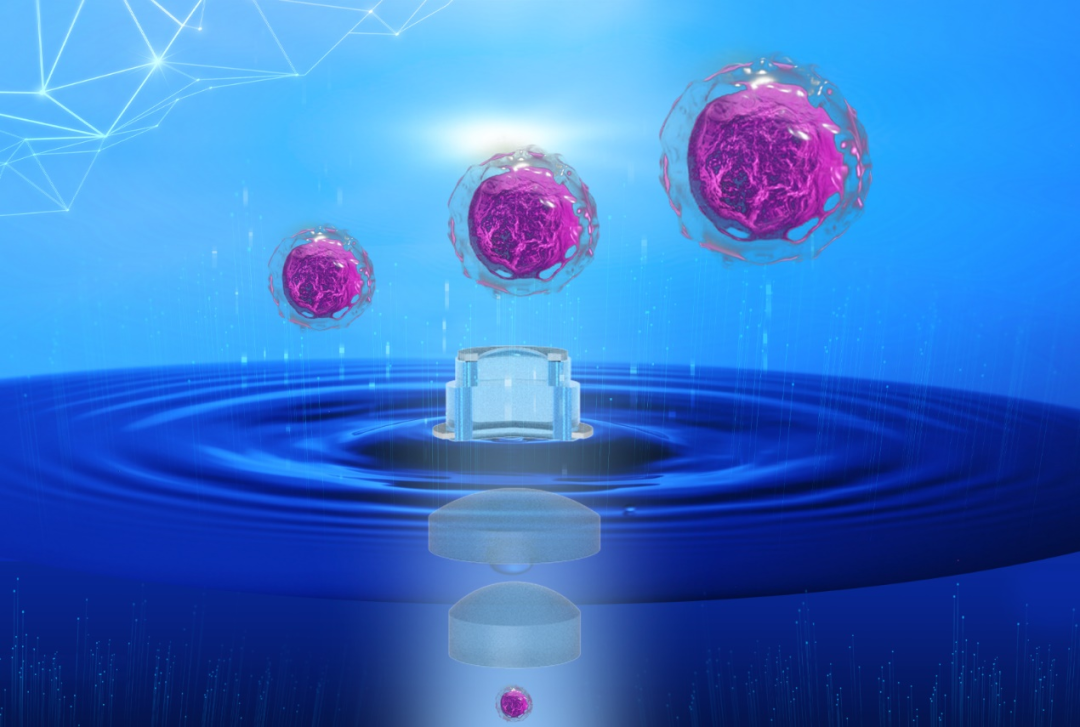 Continuous optical zoom microscope with extended depth of field and 3D reconstruction