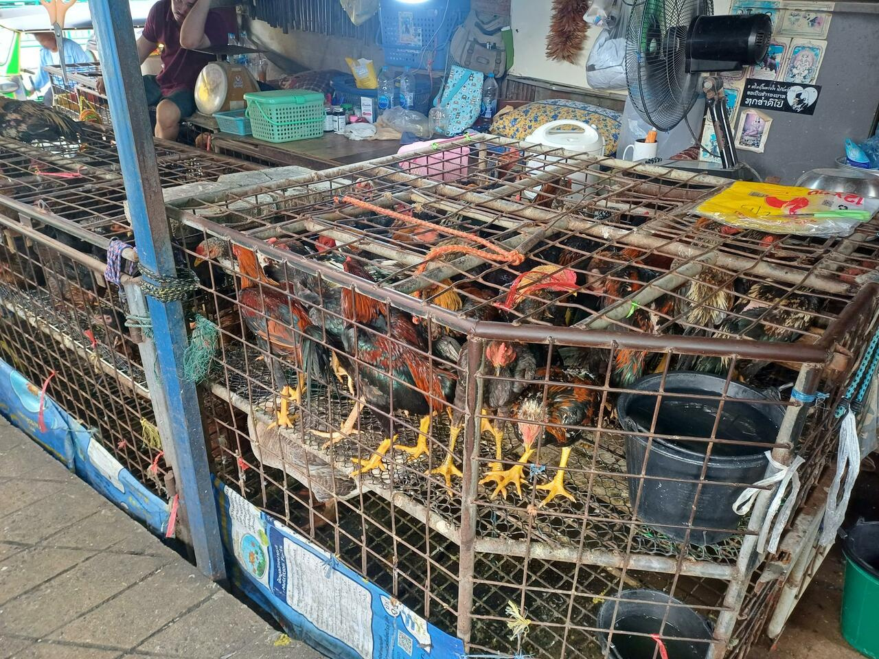 Need for creating next generation leaders and champions for Pandemic prevention