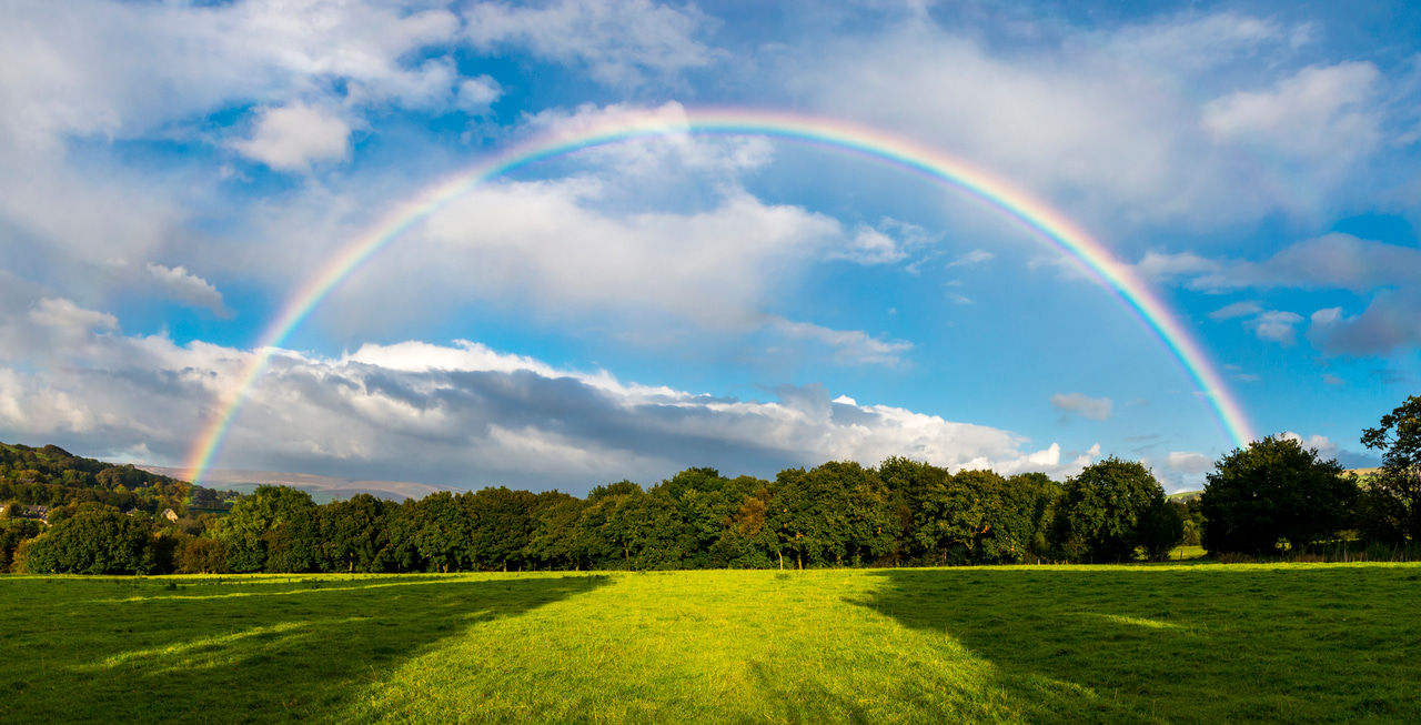 Some resources for an empowered Pride