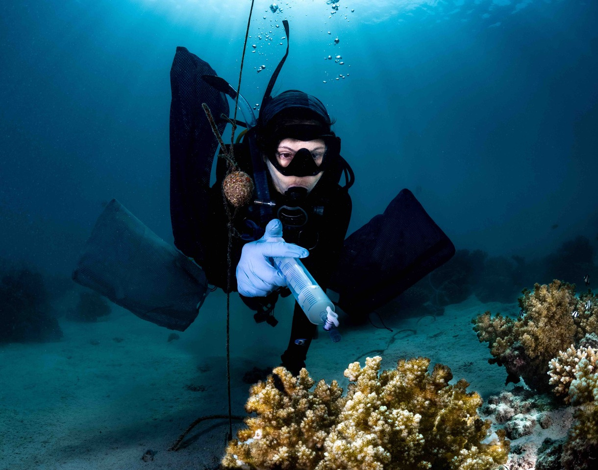 Microbiome stewardship in rapidly declining ecosystems: The high risk of inaction