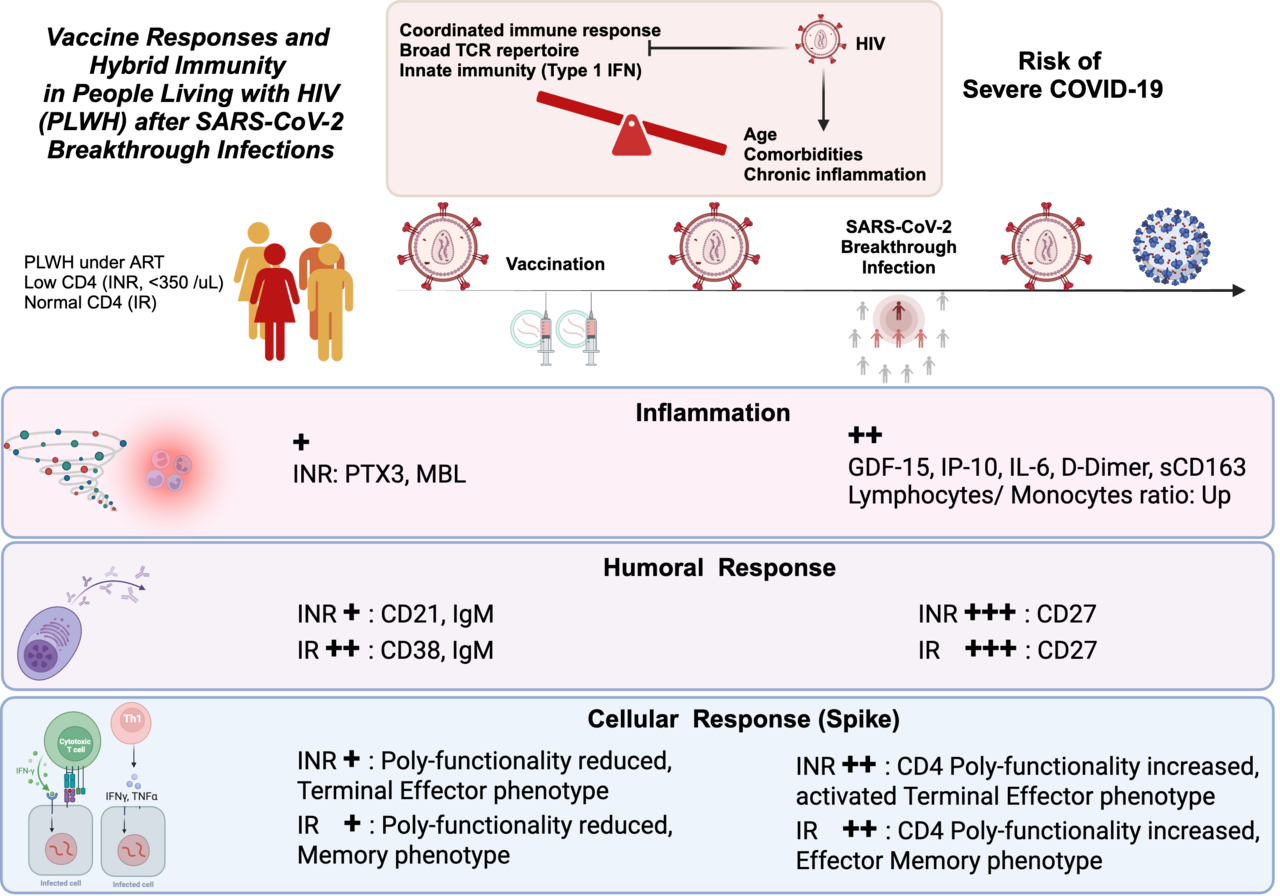 HIV & SARS-CoV-2 Hybrid Immunity