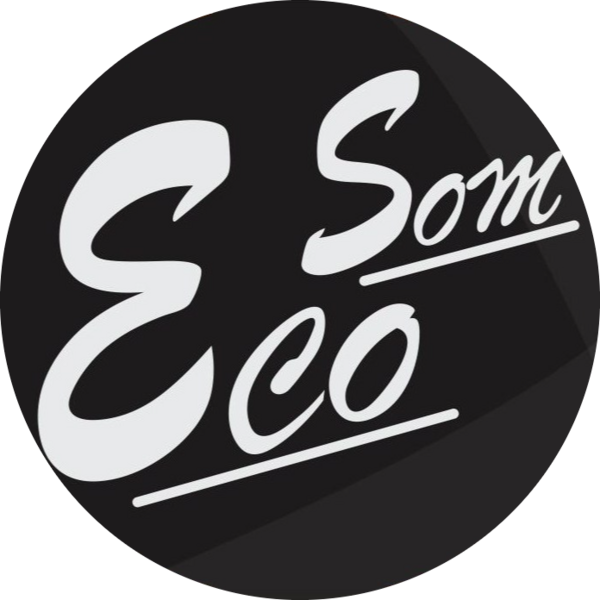 Go to the profile of Eco Som Indústria e Comércio LTDA