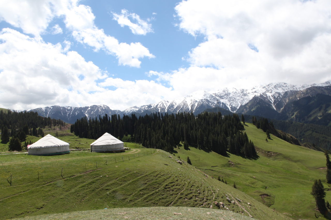 Understanding the RNA virosphere at a landscape scale