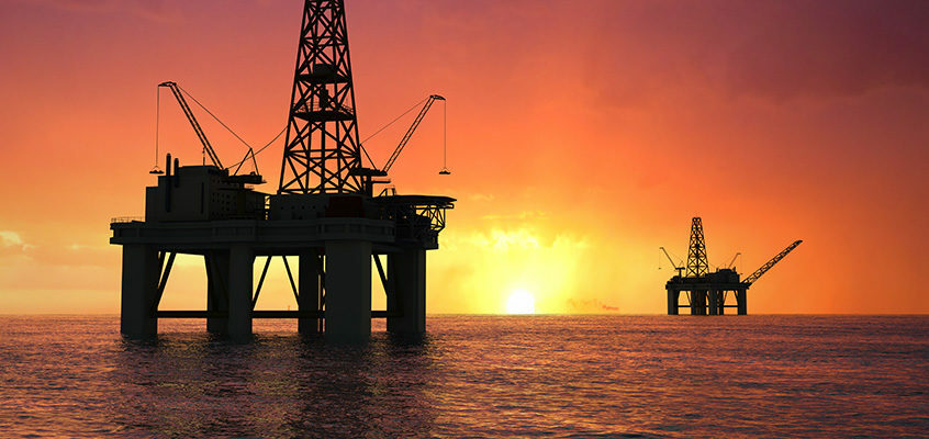 Bacteria-plant interactions synergistically enhance biodegradation of diesel fuel hydrocarbons