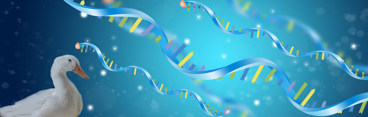 Behind the Paper Top Five: 2019