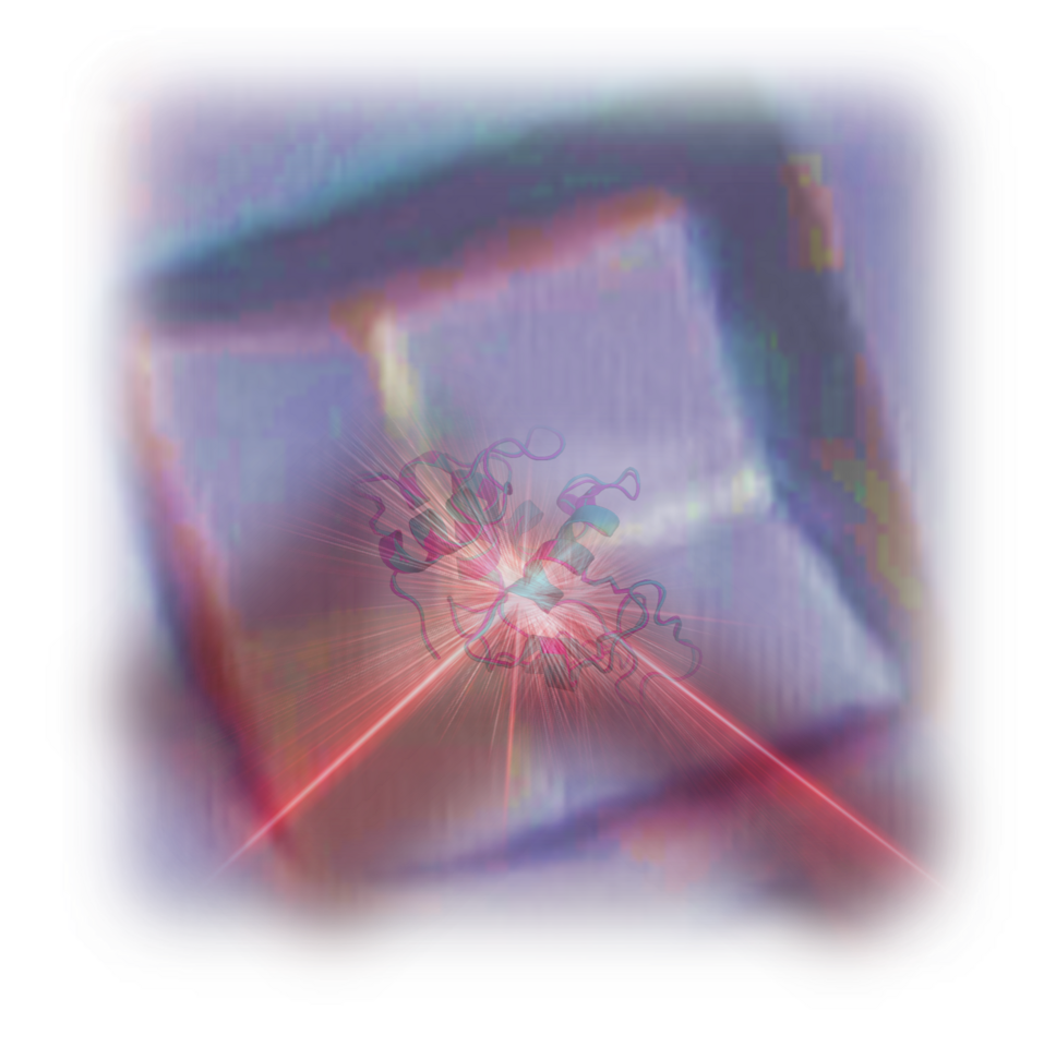 Megahertz pulse trains enable multi-hit serial femtosecond crystallography experiments at X-ray Free Electron Lasers