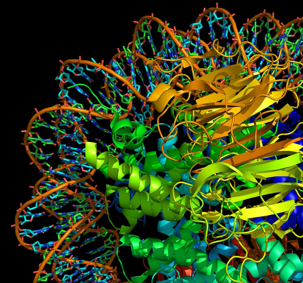 Special Issue: Cancer Epigenetics