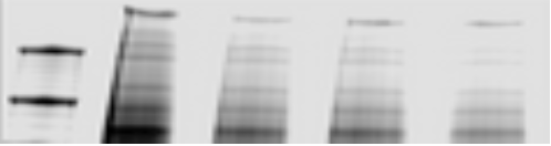 Announcing the 2023 Richard Perham Prize Winners