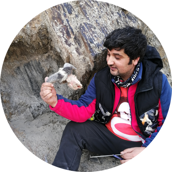 Go to the profile of Muhammad Zaman