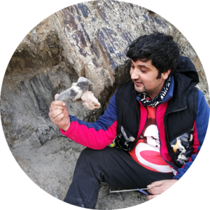 Go to the profile of Muhammad Zaman