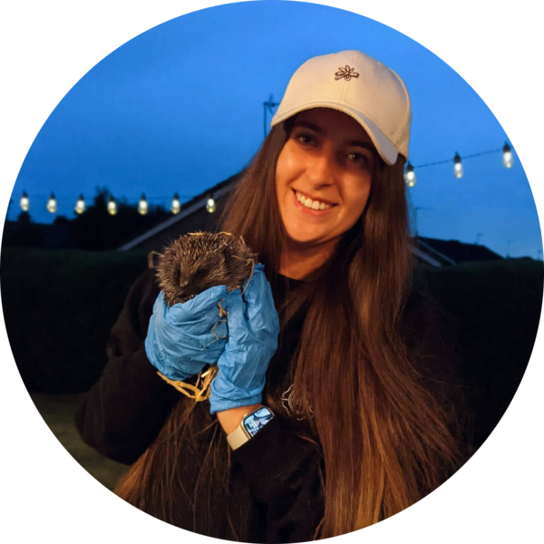 Go to the profile of Bethany Holmes