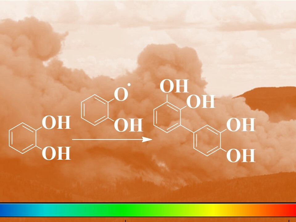 Oligomers of catechol formed during surface reactions of wildfire smoke