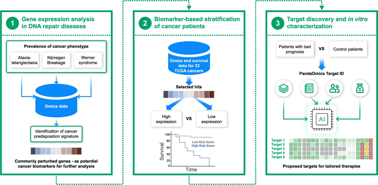 A Global Collaboration in Precision Oncology and DNA Repair Disorders between the University of Copenhagen, Insilico Medicine, and the University of Chicago enabled by PandaOmics Artificial Intelligence Engine