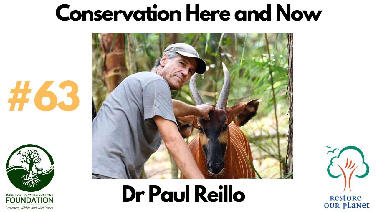 Restore Our Planet Podcast #63 Conservation Here and Now: Dr Paul Reillo