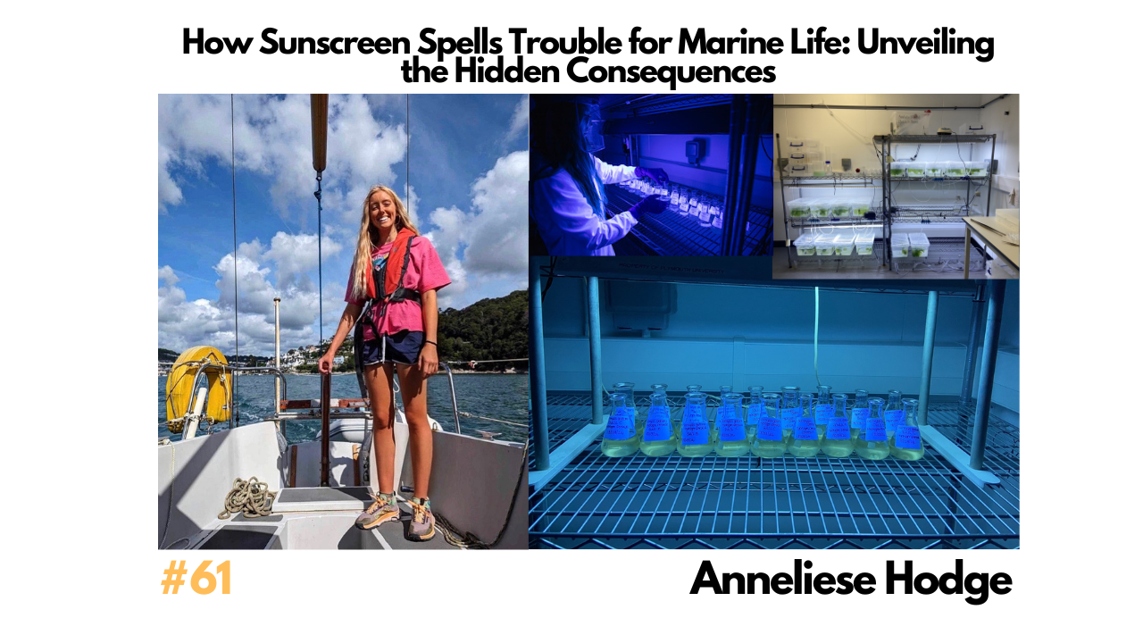 Restore Our Planet Podcast #61 How Sunscreen Spells Trouble for Marine Life: Anneliese Hodge.